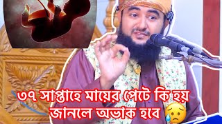 মায়ের পেটে কিভাবে বেড়ে উঠে শিশু।How to grow fetal development। viralvideo [upl. by Younglove598]