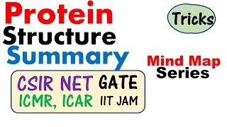 Protein structure primary secondary tertiary quaternary [upl. by Narih]