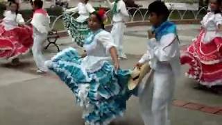 Danza folclórica tradicional del Tolima ADFOLTRATOL [upl. by Helbon712]