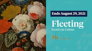 Fleeting – Scents in Colour  Smell the 17th century at the Mauritshuis [upl. by Shulins]