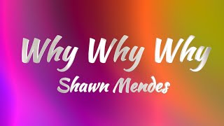 Shawn Mendes  Why Why Why Lyrics [upl. by Tawney40]