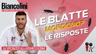 ⚠️​🪳​Le blatte mordono Ecco le risposte alle vostre domande [upl. by Airemahs73]