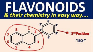 Flavonoids and their chemistry in easy way [upl. by Radloff]