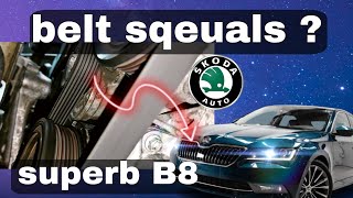 Auxiliary belt NOISE  B8 20 tdi skoda superb [upl. by Analat634]