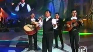 Juan Gabriel  No me vuelvo a enamorar  viña 2002 [upl. by Ahtnicaj251]