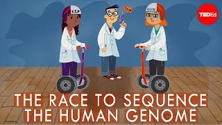 The race to sequence the human genome  Tien Nguyen [upl. by Adnawaj]