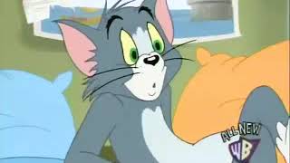 Tom and Jerry 334 part1  Babysitting Blues 2007 [upl. by Berck430]