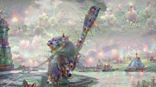 Crowbcat deep dream AI mirror [upl. by Ji]