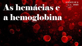 Hemácias amp hemoglobina [upl. by Ekralc]