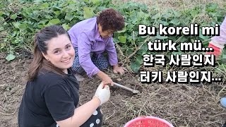 국제커플 튀르키예 아내가 시골에서 밭일을 하는데 다들 놀란 이유는 🇹🇷🇰🇷 [upl. by Aiker]