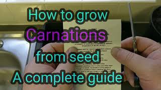 How to grow CarnationsDianthus from seed a complete guide [upl. by Odnumyar]