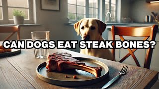 Can Dogs Eat Steak Bones Explained [upl. by Baun669]