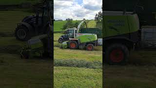 Silage 23 LIFTING Claas Jaguar 890 and Valtra Tractor carting grass August 2023 pitwork [upl. by Borrell332]