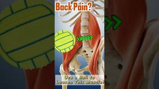 Loosen Up Your Iliopsoas Muscle Use a Ball [upl. by Celie446]