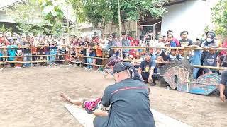 Live Babak Dadi Jathilan Rias Turonggo Mudho Sumber Batikan [upl. by Higbee666]