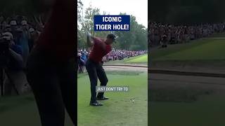 Tiger Woods INCREDIBLE recovery 😱 [upl. by Isobel]