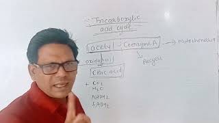 tricarboxylic acid cycle class 10 science chapter 2 life processes in living organisms part 1 [upl. by Darell]