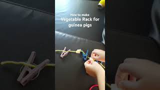 How to make a vegetable rack for guinea pigs😍 [upl. by Afrika493]