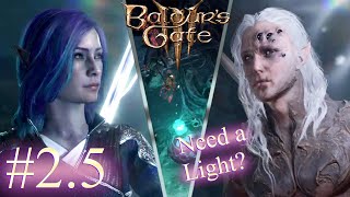 Baldurs Gate 3  Nerys  Act 2  Episode 5 [upl. by Hilliary]