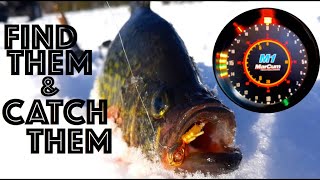 How to Find and Catch Crappies when Ice Fishing [upl. by Eugnimod]