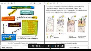 20Formation de lhumus et sa minéralisation [upl. by Primaveria]