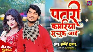 AUDIO पतरी कमरिया मुचुक जाई  Patari Kamariya Muchuk Jayi Sanehi Kumar  Bhojpuri Song 2024 [upl. by Akcemat75]