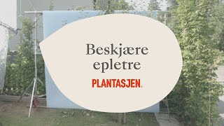 Beskjære epletre [upl. by Hairu]