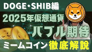 2025年仮想通貨バブル期待のミームコイン解説【DOGE・SHIB編】 [upl. by Home742]