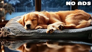 Música de 12 horas para calmar a tu perro mientras duerme y combate el estrés y la ansiedad🐶 2 [upl. by Dumm304]