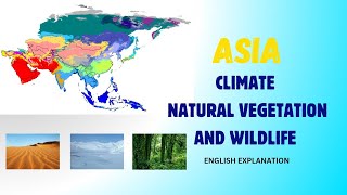 ASIA  Climate Natural Vegetation and Wildlife of Asia [upl. by Adnulahs]