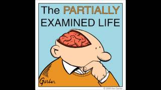 Partially Examined Life podcast  Quine  Two Dogmas of Empiricism [upl. by Canute]