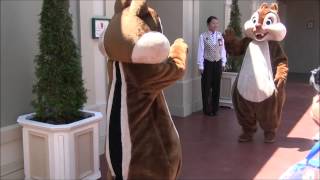 【TDL】裸足は熱いよ！ ｂｙチップ＆デール（20140806） [upl. by Eihpos935]