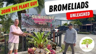 Sunshine Bromeliad Care Guide Grow Propagate Troubleshoot with John The Plant guy [upl. by Raquel]