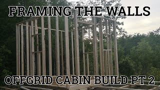 Offgrid Cabin Build Pt 2 Framing the Walls [upl. by Ilarrold]