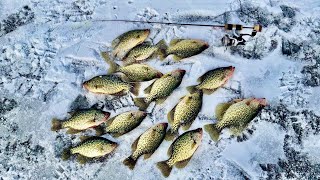 Ice Fishing for a Panfish DINNER  They were STACKED [upl. by Elleahcim]