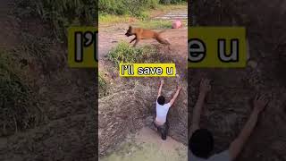 Smart dog uses a rope to save a young man in a deep water hole [upl. by Suoivatram]