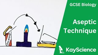 Culturing Microorganisms Required Practical Aseptic Technique  GCSE Biology  kaysciencecom [upl. by Nirtak]