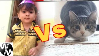 Funny Baby Vs Cat Wiggle Wiggle wiggle song [upl. by Oirram]