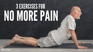 The 3 Best Back Exercises For NO MORE PAIN [upl. by Nylknarf]