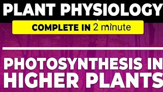 Photosynthesis in higher plants in one shot class 11th neet 2025 complete ncert notes biobyayush [upl. by Edualc]