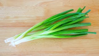 4 Ways Preserve Scallions for Weeks or Months CiCi Li  Asian Home Cooking Recipes [upl. by Mendoza721]