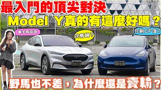 美式後驅對決，Model Y Rwd  MachE Select｜【Echo’s Ev Life】 [upl. by Onifled]