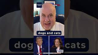 Rep Mark Pocan Offers Critical Analysis of Presidential Debate Performance [upl. by Thain91]