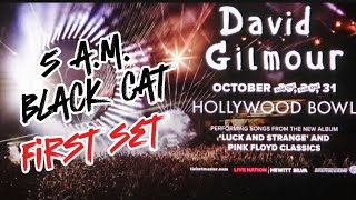 Live  David Gilmour  intro 5am Black Cat  103024 [upl. by Attenwad979]