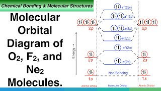 Molecular Orbital Diagram of O2 F2 and Ne2 Molecules [upl. by Ahseikan]