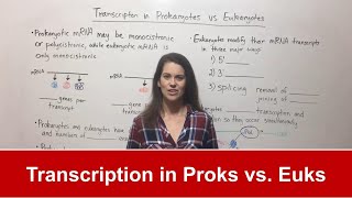 Transcription in Prokaryotes vs Eukaryotes [upl. by Amairam501]