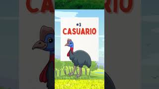 Las 8 Aves que NO vuelan🐧shorts short animalshorts shortvideo shortsfeed viral [upl. by Nibas212]