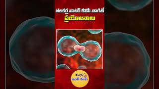 పరగడుపున జీలకర్ర వాటర్ కలిపి తాగితే ప్రయోజనాలు  Benefits Of Drinking With Cumin Water shorts [upl. by Janean293]