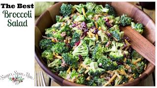 How to Make Broccoli Salad [upl. by Arihsak]