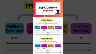 Thyroid Carcinoma  Shorts  Types Mnemonic  Endocrinology  Medi Trix [upl. by Niwroc]